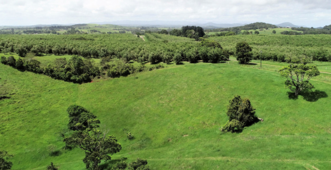 848 Topaz Road, Glen Allyn - Thumbnail 7