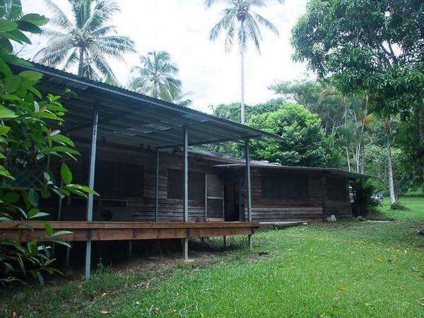 441 Cape Tribulation Road, Forest Creek - Thumbnail 2