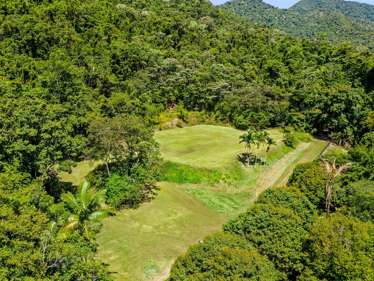 L162 Rocks Rd, Redlynch - Thumbnail 2