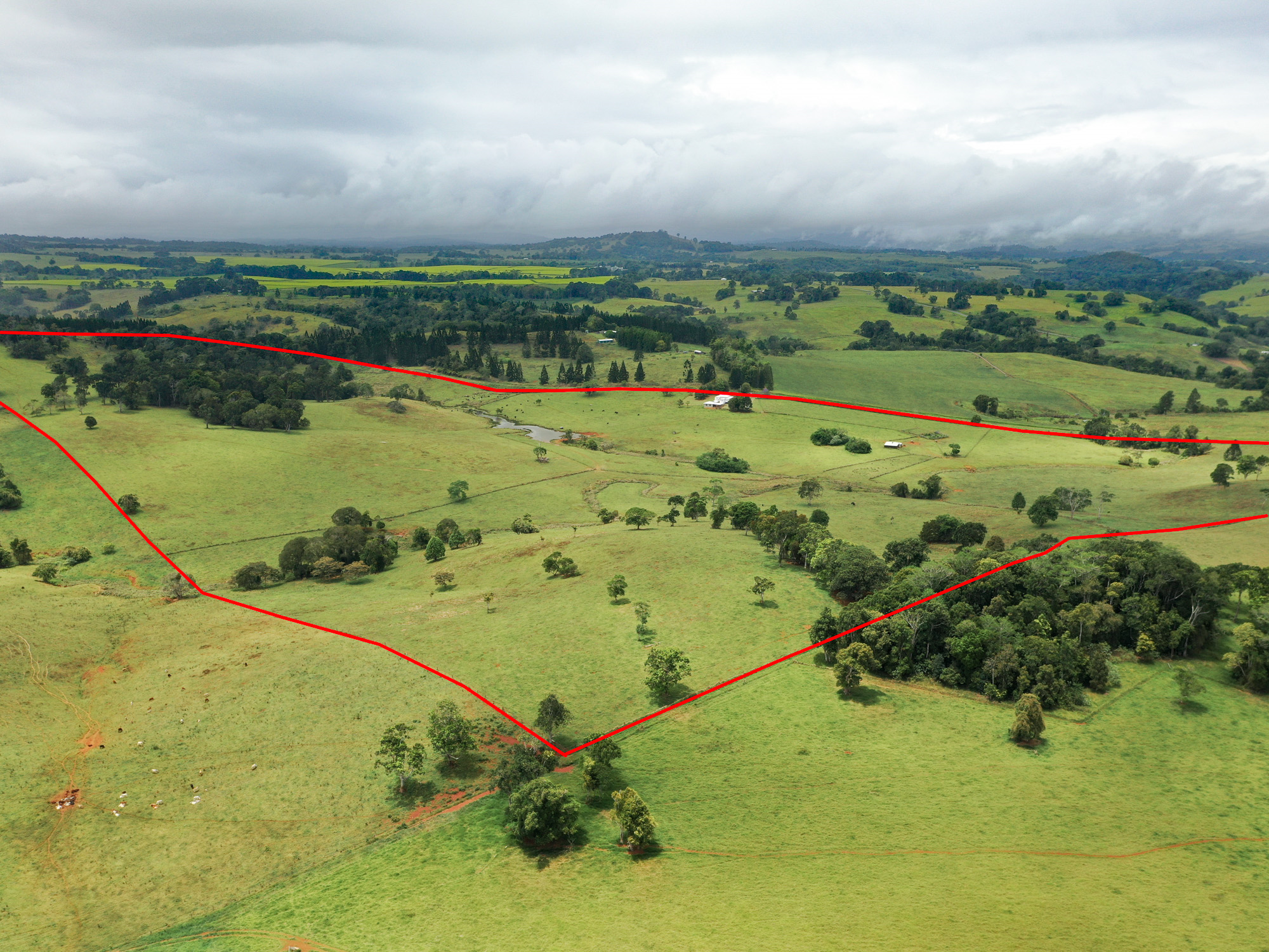 75 HAINES RD, Glen Allyn - Thumbnail 7