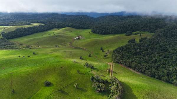 464 Boar Pocket Road, Yungaburra - Thumbnail 8
