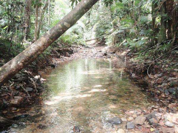 160 Thornton Peak Drive, Forest Creek - Thumbnail 2