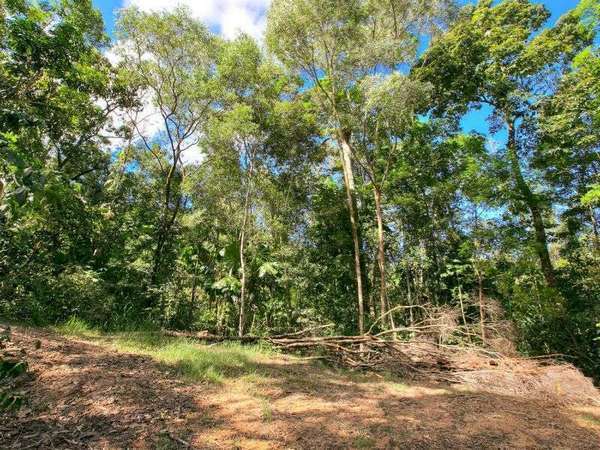 L20 Forest Close, Forest Creek - Thumbnail 6