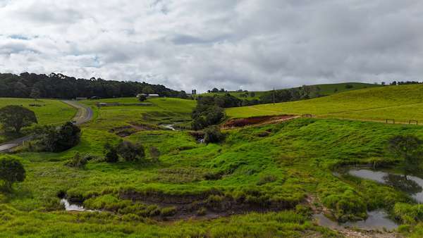464 Boar Pocket Road, Yungaburra - Thumbnail 6