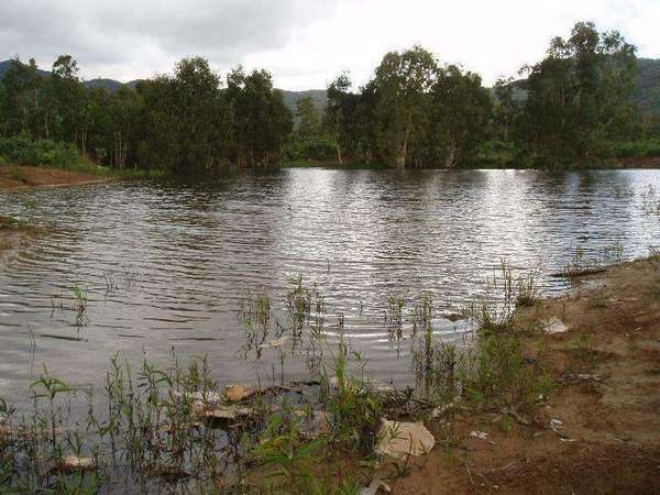 5 Mungumby Road, Cooktown - Thumbnail 3