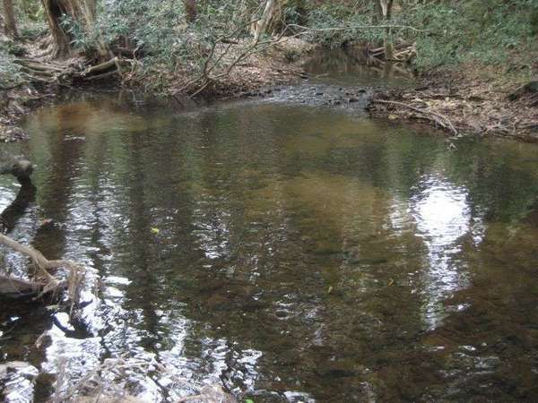 5 Mungumby Road, Cooktown - Thumbnail 2