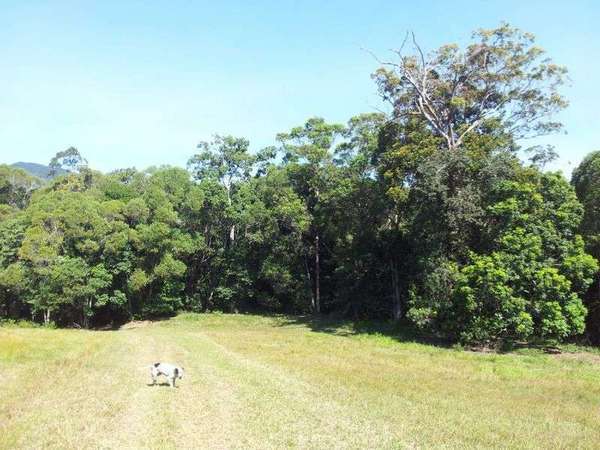 90 Hoey Road, Speewah - Thumbnail 7
