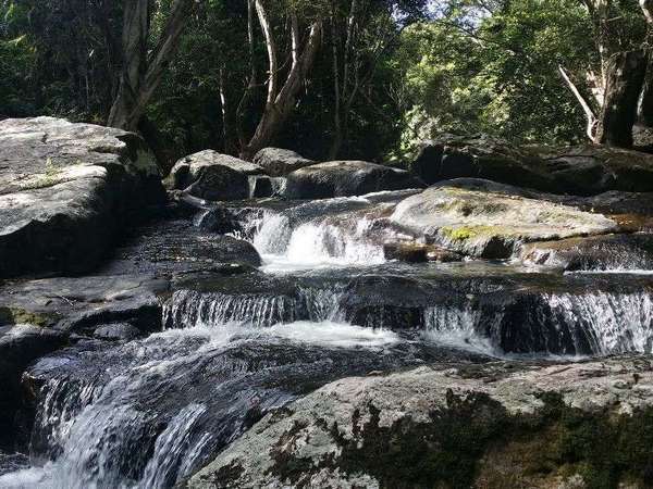 Kuranda QLD, 4881, Kuranda - Thumbnail 4