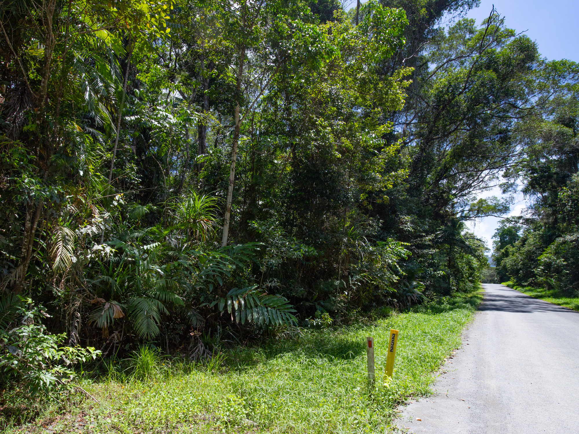 246 Forest Creek Rd, Forest Creek - Thumbnail 4