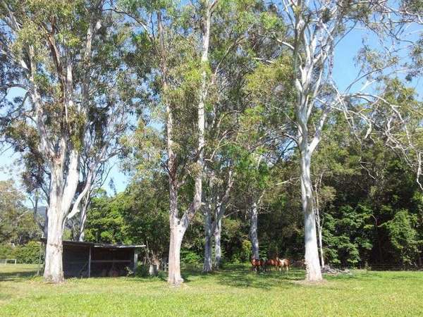 90 Hoey Road, Speewah - Thumbnail 6