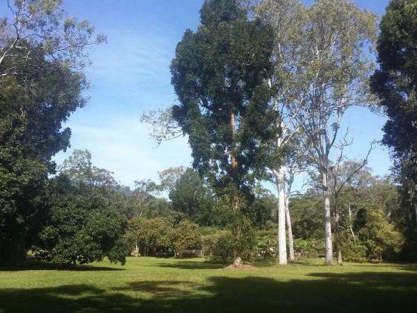 Kuranda QLD, 4881, Kuranda - Thumbnail 7