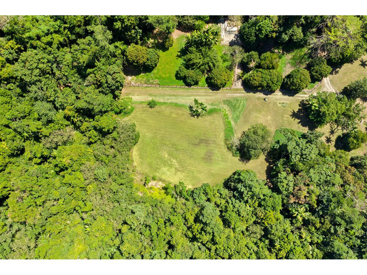 L162 Rocks Rd, Redlynch - Thumbnail 4