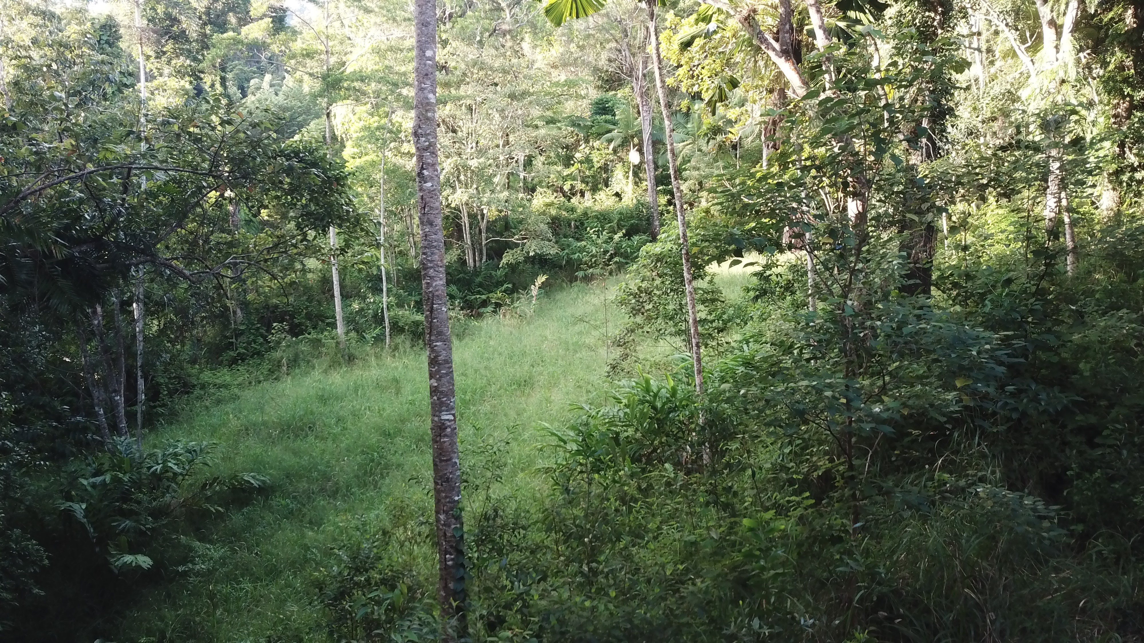 38 Daley Cl, Kimberley - Thumbnail 8