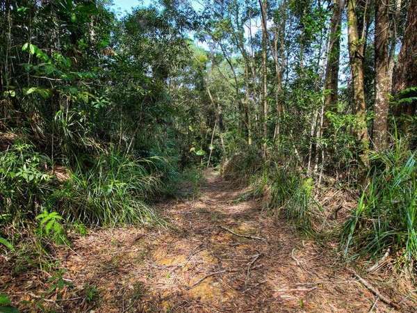 L20 Forest Close, Forest Creek - Thumbnail 5