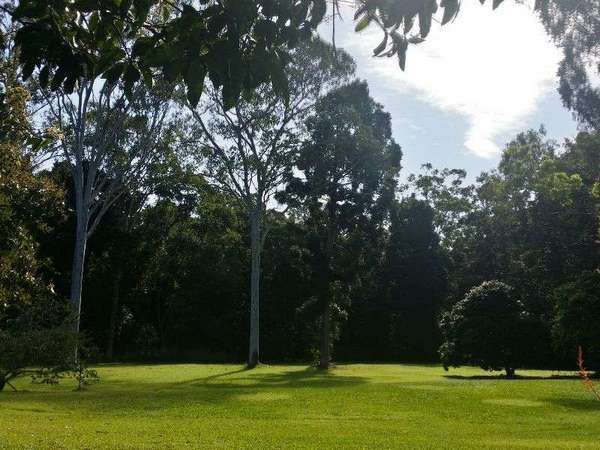 Kuranda QLD, 4881, Kuranda - Thumbnail 6