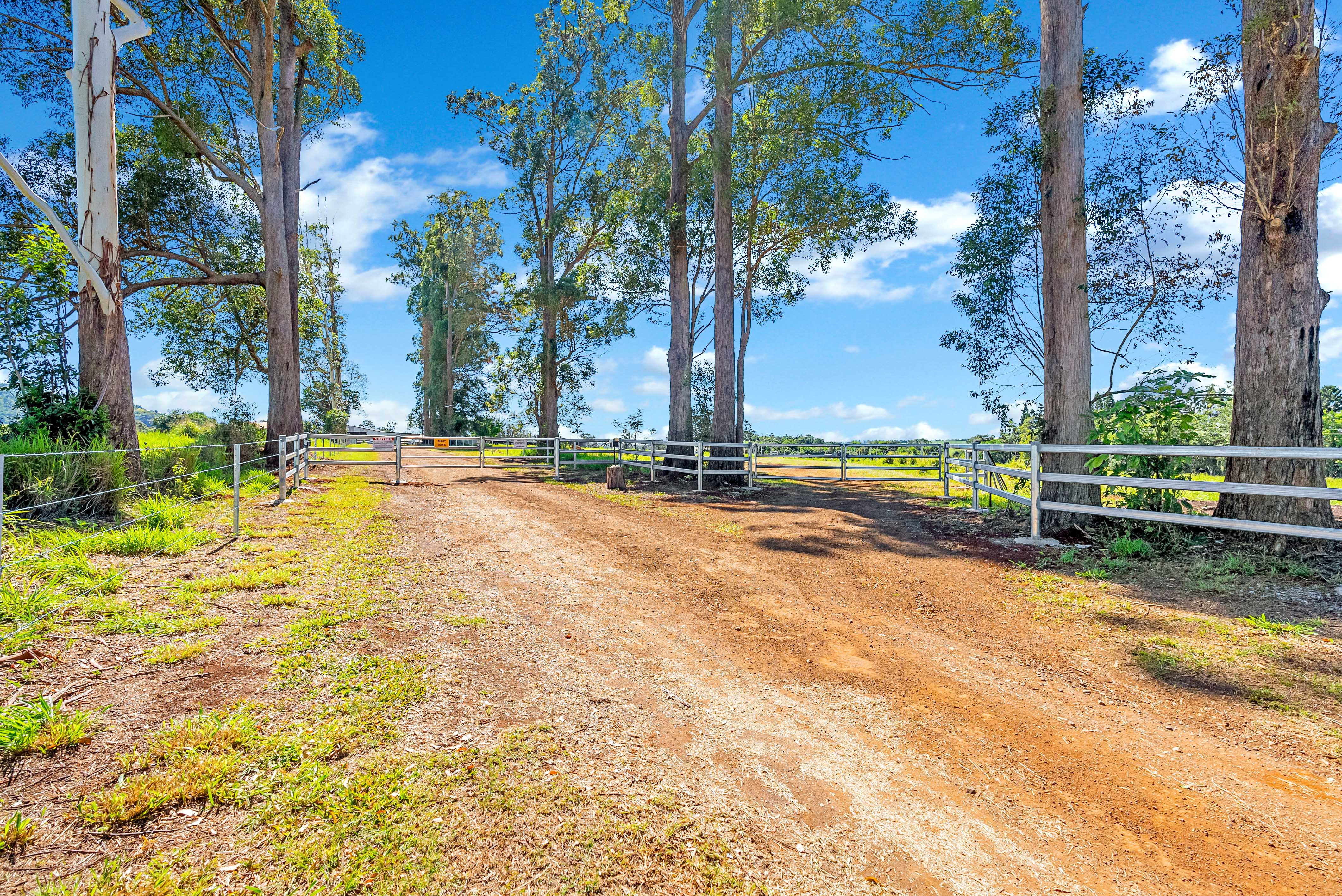 854 Malanda Atherton Rd, Atherton - Thumbnail 3