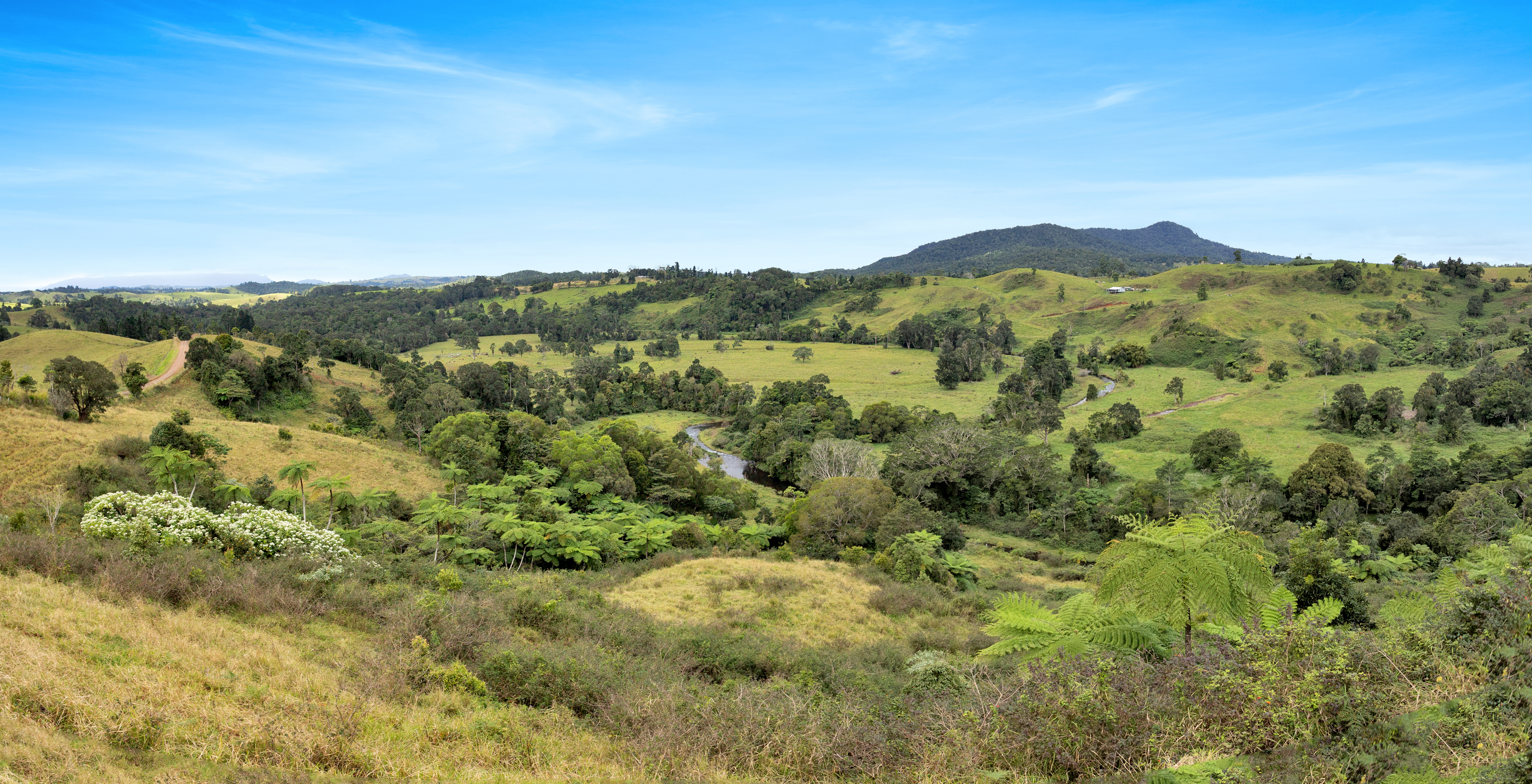 L348 Whiting Road, Millaa Millaa - Thumbnail 2
