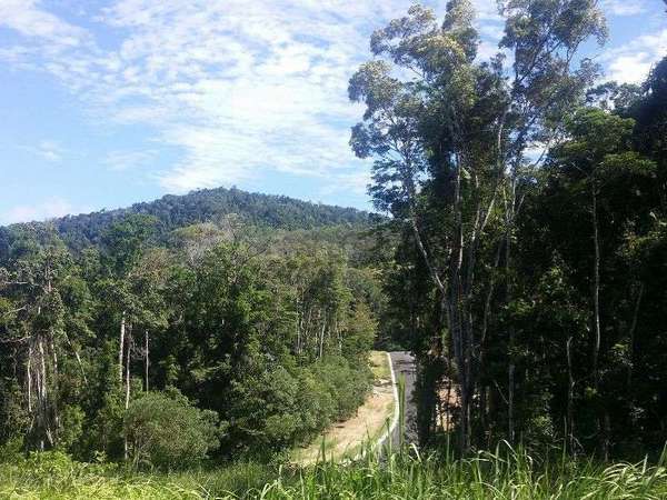 Lot 87 Spring Crescent, Kuranda - Thumbnail 3