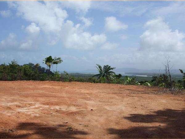 65 Kimberley Road, Daintree - Thumbnail 2
