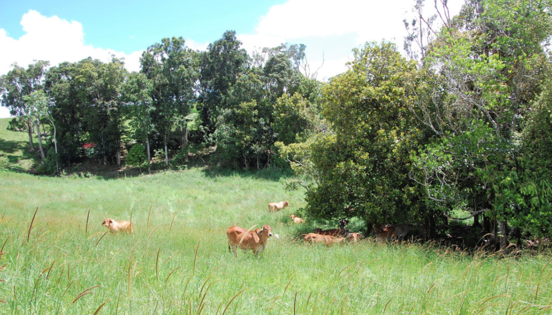 848 Topaz Road, Glen Allyn - Thumbnail 8