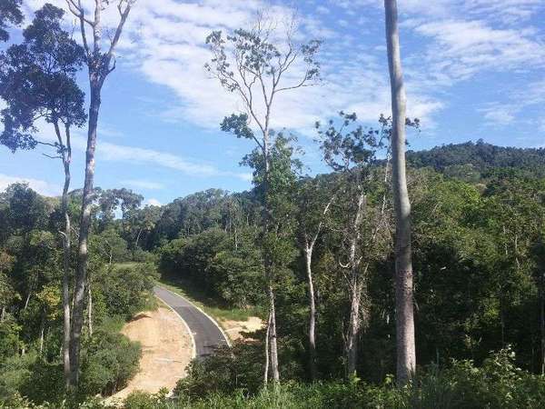 Lot 87 Spring Crescent, Kuranda - Thumbnail 2