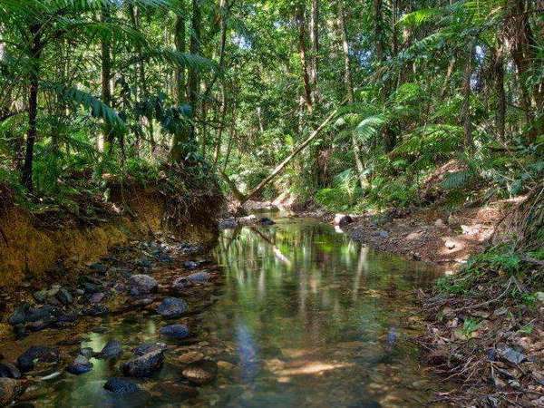 160 Thornton Peak Drive, Forest Creek - Thumbnail 3