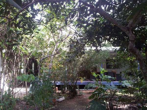 8-10 Barron Street, Koah - Thumbnail 3