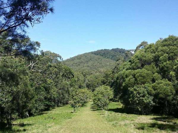 Kuranda QLD, 4881, Kuranda - Thumbnail 3