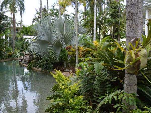 5/219-225 McLeod Street, Cairns North - Thumbnail 5