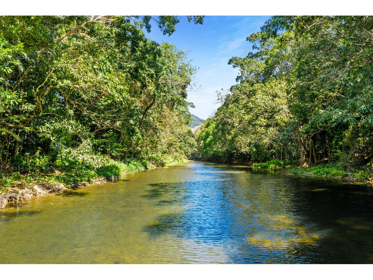 L162 Rocks Rd, Redlynch - Thumbnail 8