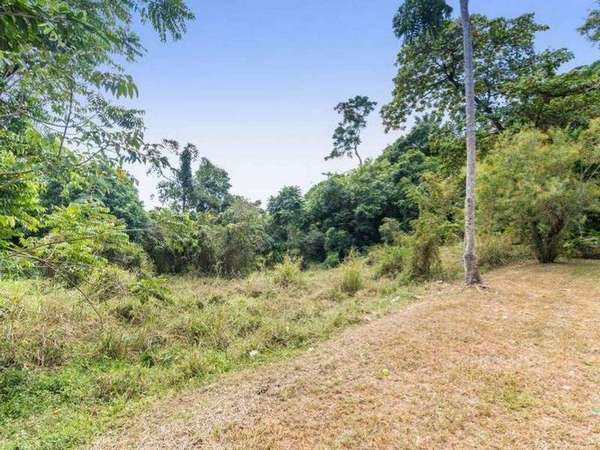 32 HARVEY ROAD, Redlynch - Thumbnail 5