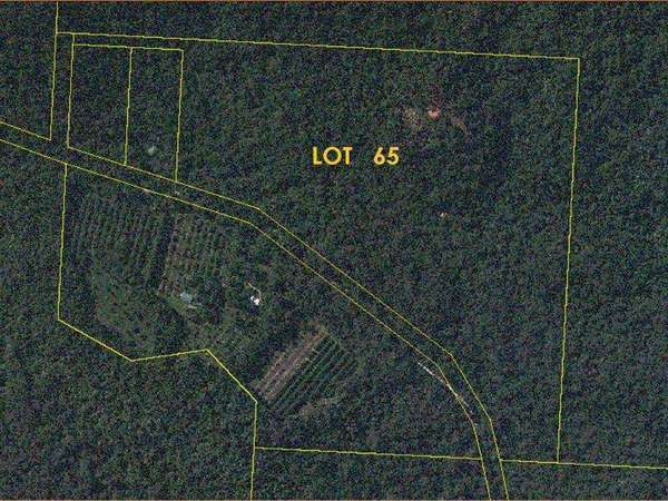 65 Kimberley Road, Daintree - Thumbnail 8