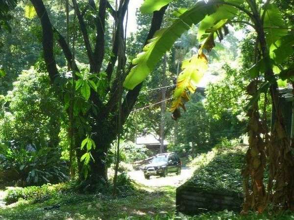 2 Cochrane Street, Stratford - Thumbnail 3