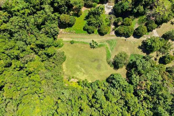 162 The Rocks Rd, Redlynch - Thumbnail 2