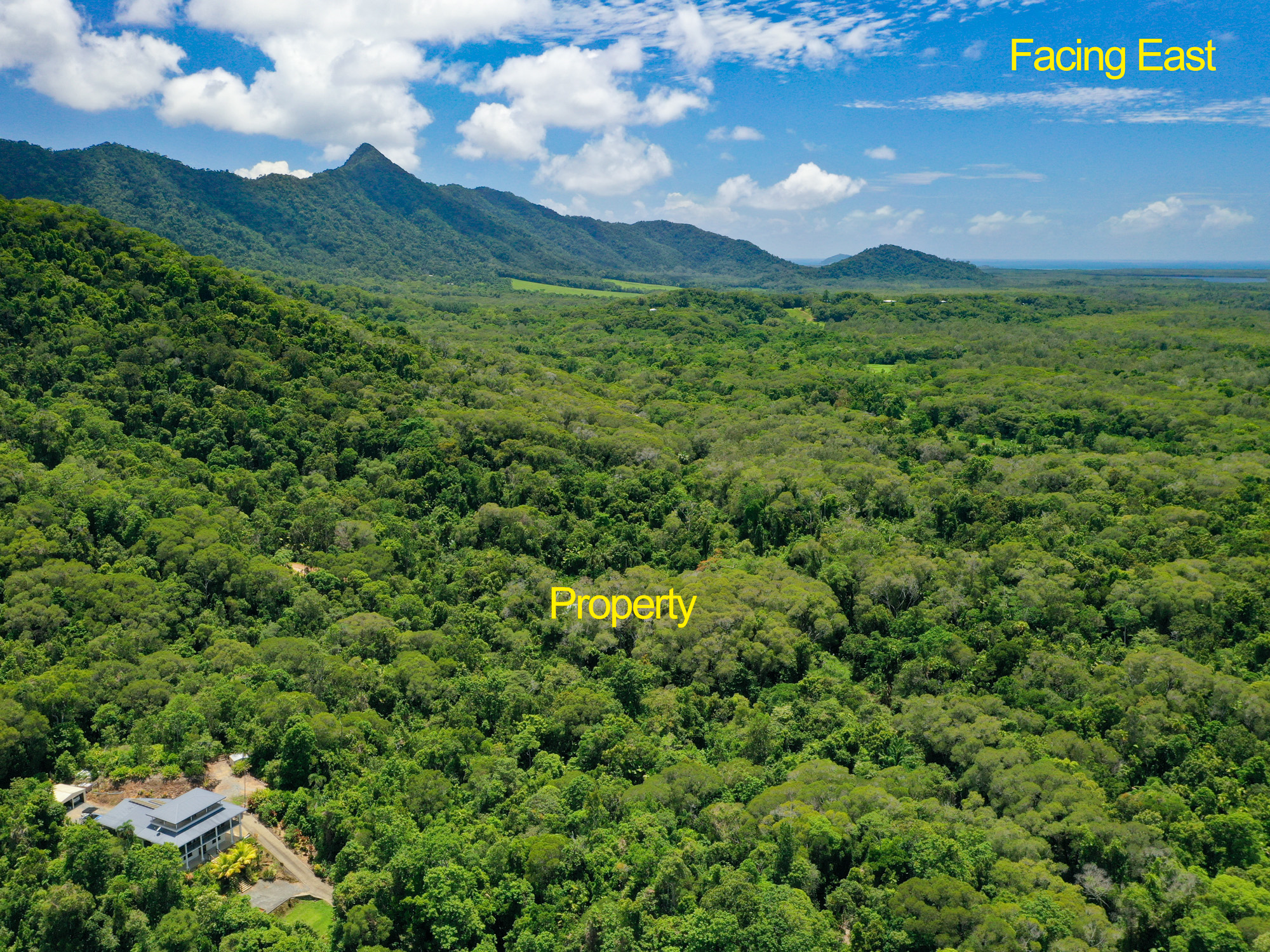 246 Forest Creek Rd, Forest Creek - Thumbnail 8