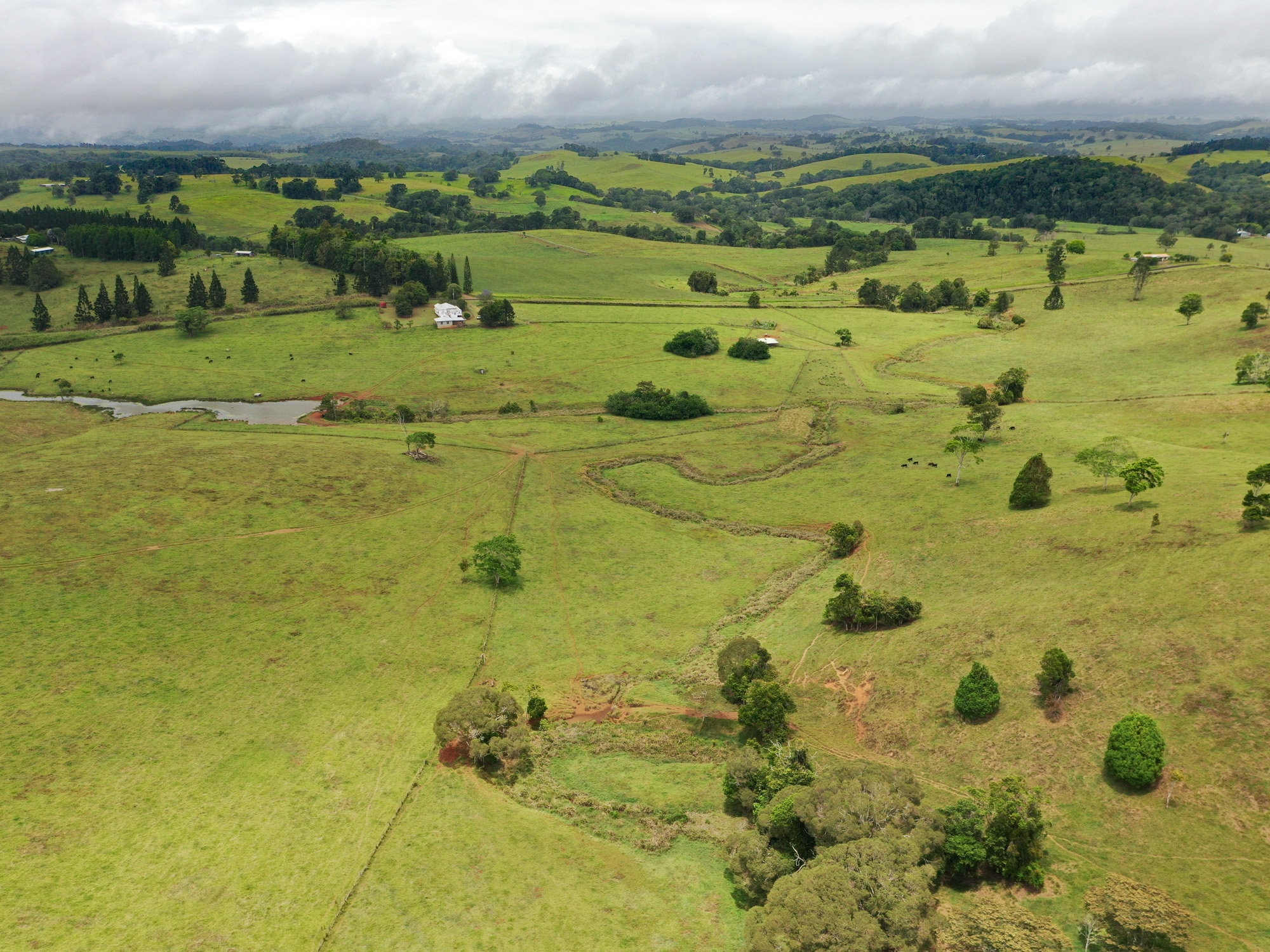75 HAINES RD, Glen Allyn - Thumbnail 3