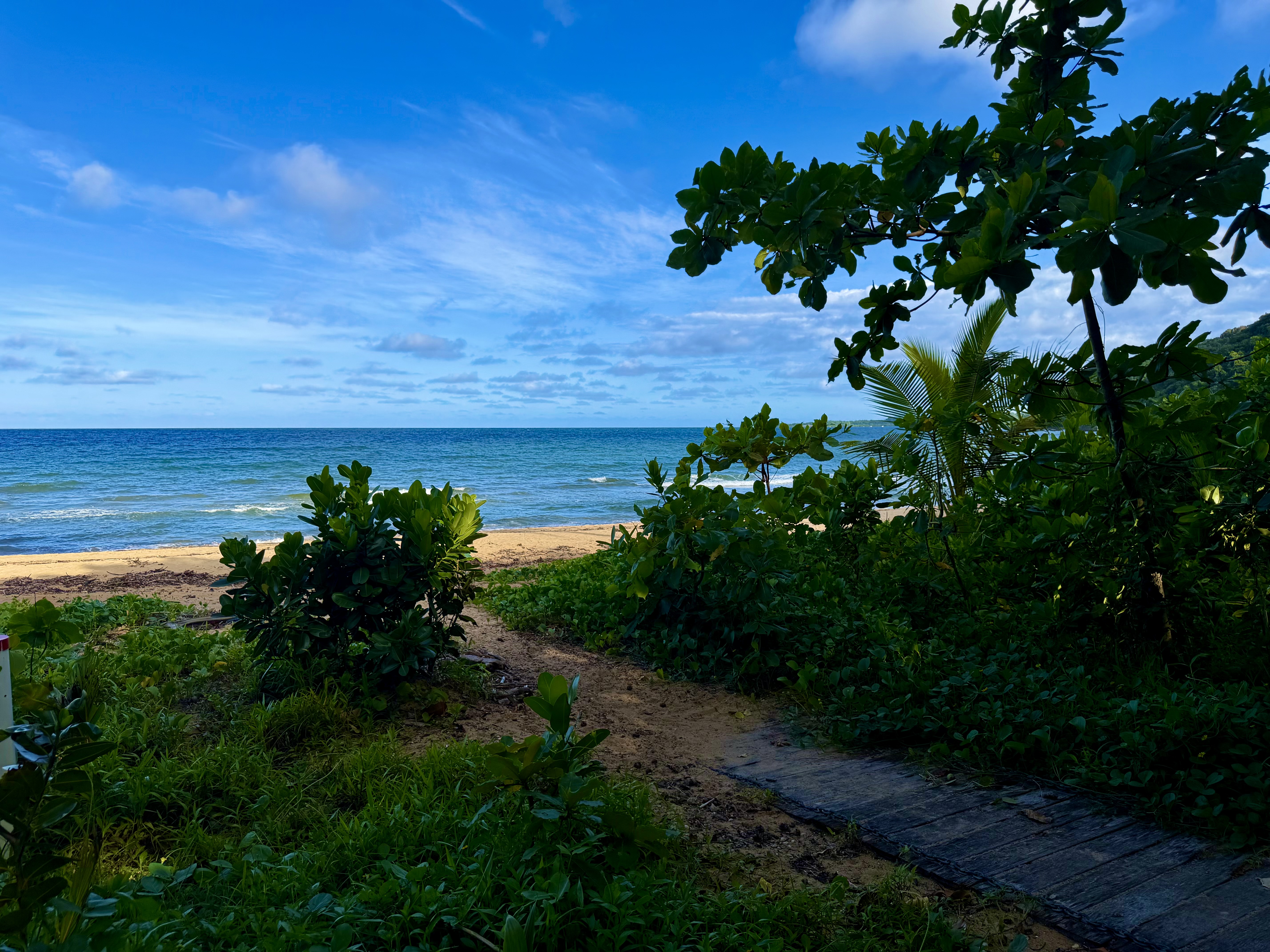 68 Cutten Street, Bingil Bay - Thumbnail 5