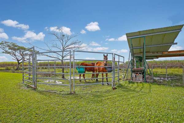 Lot 1 Atherton Road, Silkwood - Thumbnail 4