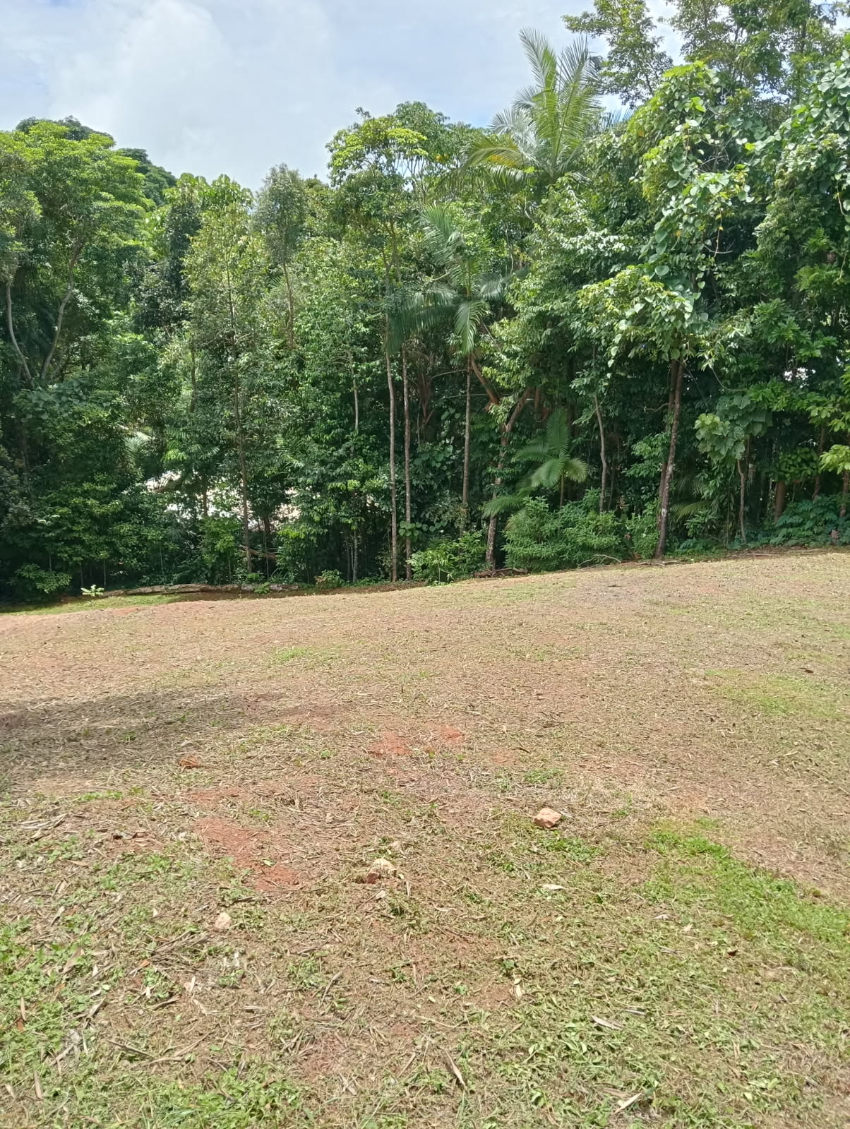 68 Cutten Street, Bingil Bay - Thumbnail 7