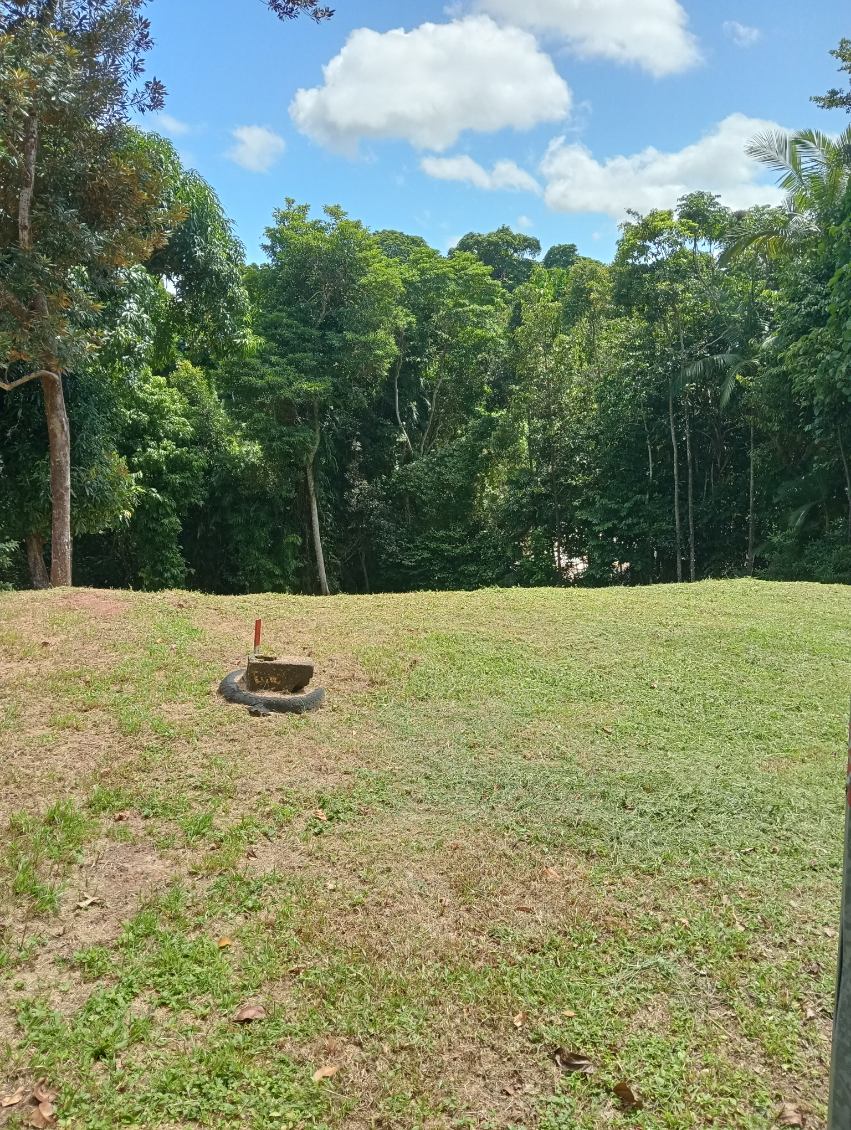 68 Cutten Street, Bingil Bay - Thumbnail 8