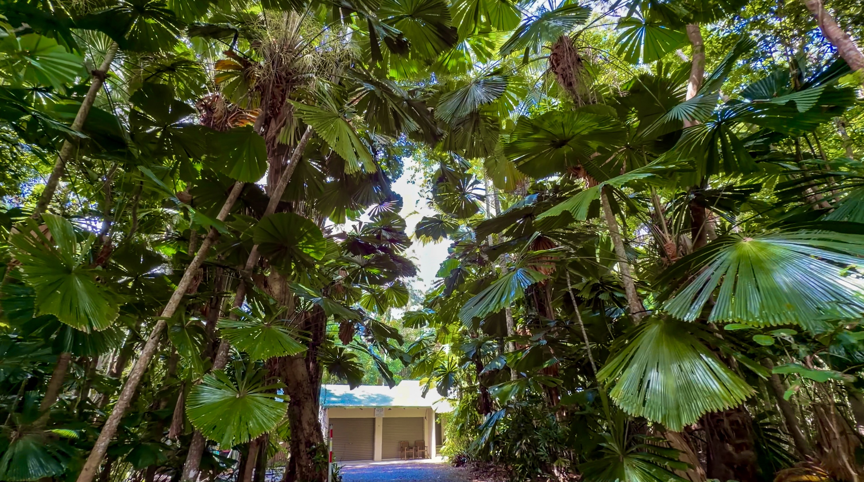 3 Kurrajong Close, Wongaling Beach - Thumbnail 7