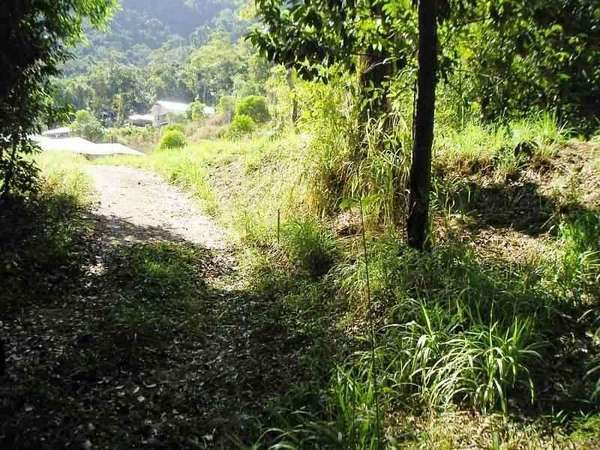 REDLYNCH QLD, 4870, Redlynch - Thumbnail 4