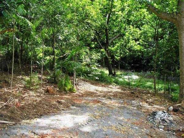 BRINSMEAD QLD, 4870, Brinsmead - Thumbnail 4