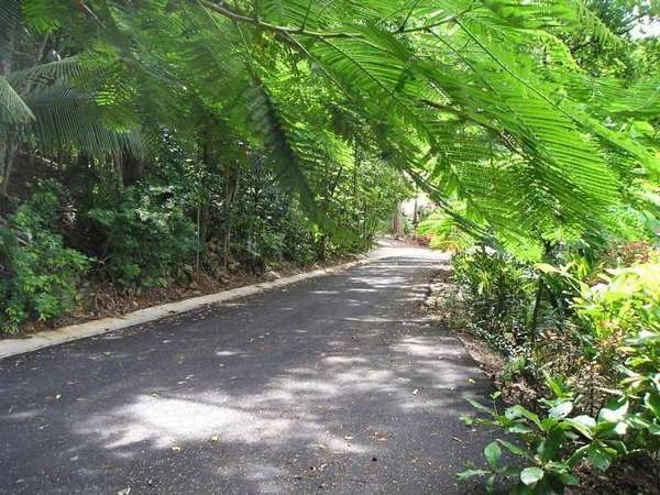 BRINSMEAD QLD, 4870, Brinsmead - Thumbnail 2