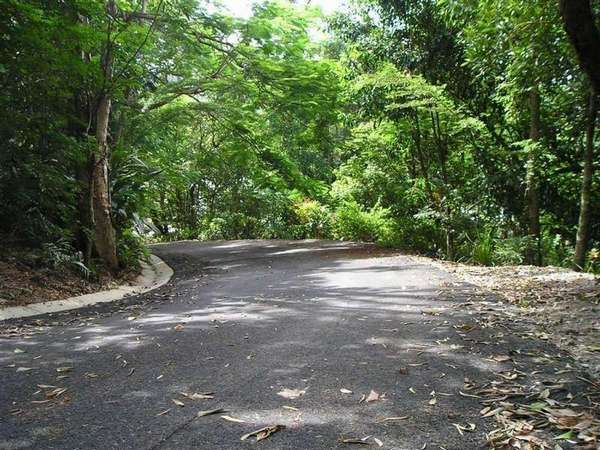 BRINSMEAD QLD, 4870, Brinsmead - Thumbnail 3