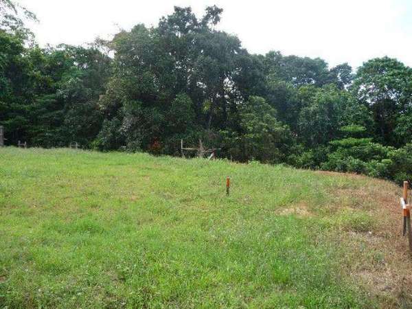 REDLYNCH QLD, 4870, Redlynch - Thumbnail 3