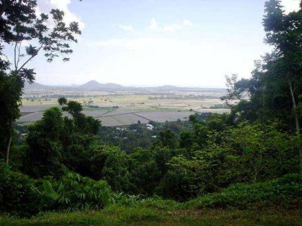 5 Gray Street, Freshwater - Thumbnail 2