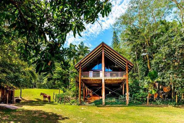111-113 Harvey Road, Redlynch - Thumbnail 2