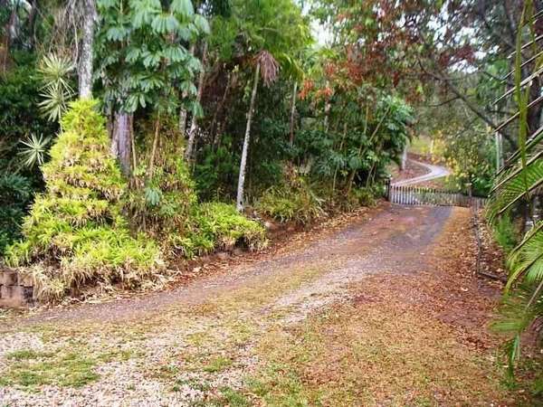 CARAVONICA QLD, 4878, Caravonica - Thumbnail 4