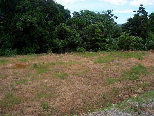 REDLYNCH QLD, 4870, Redlynch - Thumbnail 3